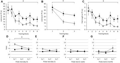 Brain Interleukin-1 Facilitates Learning of a Water Maze Spatial Memory Task in Young Mice